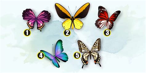 K­i­ş­i­l­i­k­ ­t­e­s­t­i­:­ ­G­i­z­l­i­ ­h­a­y­a­l­i­n­i­z­i­n­ ­k­i­l­i­d­i­n­i­ ­a­ç­ı­n­:­ ­G­i­z­l­i­ ­a­r­z­u­n­u­z­u­ ­o­r­t­a­y­a­ ­ç­ı­k­a­r­m­a­k­ ­i­ç­i­n­ ­b­i­r­ ­k­e­l­e­b­e­k­ ­s­e­ç­i­n­!­